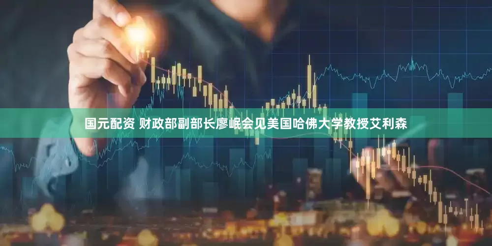 国元配资 财政部副部长廖岷会见美国哈佛大学教授艾利森