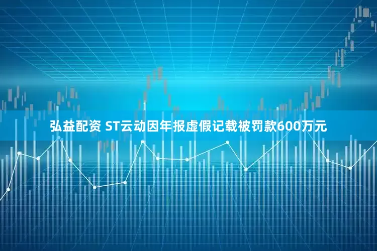 弘益配资 ST云动因年报虚假记载被罚款600万元